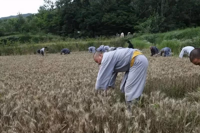 「天收人，有暗示」！老天若要帶人離開　會降下「4種徵兆」千萬要警惕