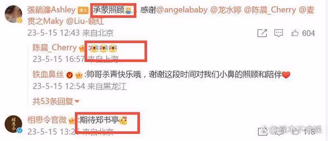 洪欣之子資源飛升!感謝Angelababy照顧,洪欣和解內幕疑曝光!