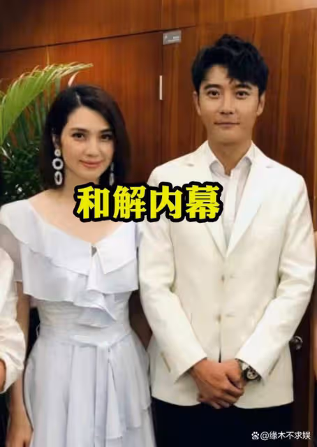 洪欣之子資源飛升!感謝Angelababy照顧,洪欣和解內幕疑曝光!