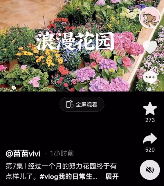 苗苗自曝大豪華墅是租的,買土種花不嫌髒,鄭愷只顧打球毫無興趣