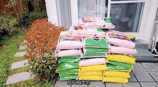 苗苗自曝大豪華墅是租的,買土種花不嫌髒,鄭愷只顧打球毫無興趣