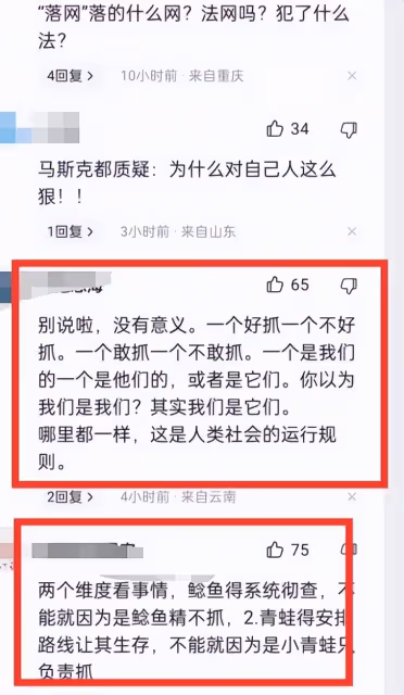 對北極鲶魚唯唯諾諾,對賣崽青蛙趕盡殺絕,社會的悲哀啊!