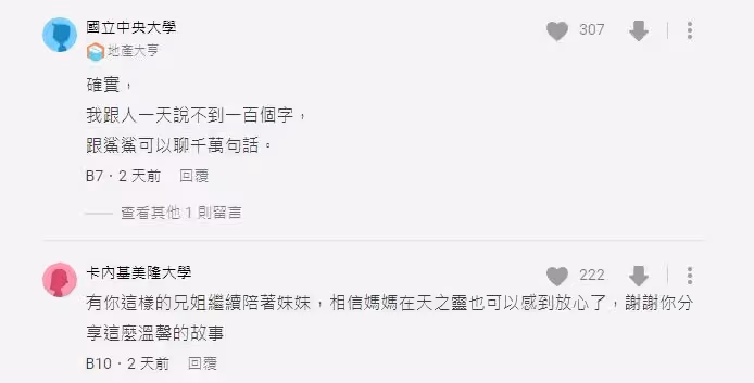 媽媽癌逝!IKEA鯊鯊「讓沉默妹妹打開心房」網眼眶紅:是姐姐救了她