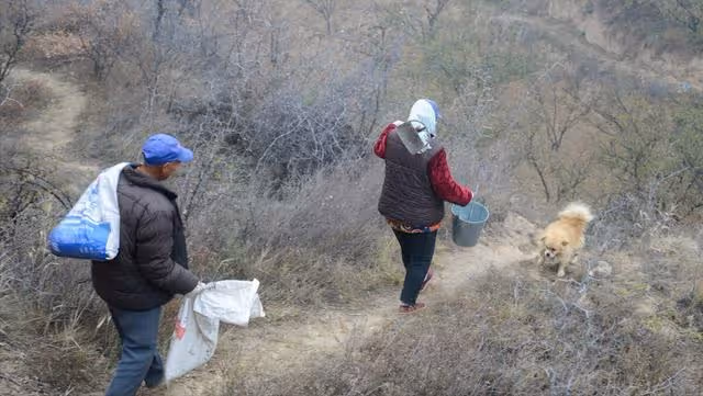 在鄰村王大哥家養老15年,老家拆遷兒子馬上來接,阿姨:我沒兒子