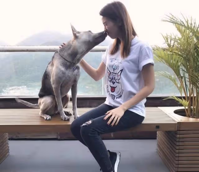未曾大紅大紫!TVB女星新劇演女二被指戲份少,粉絲替其感不值