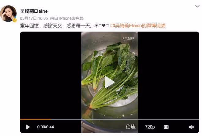 吳綺莉健康令人擔心，一日三餐全是素食，粉絲喊話小龍女快回家