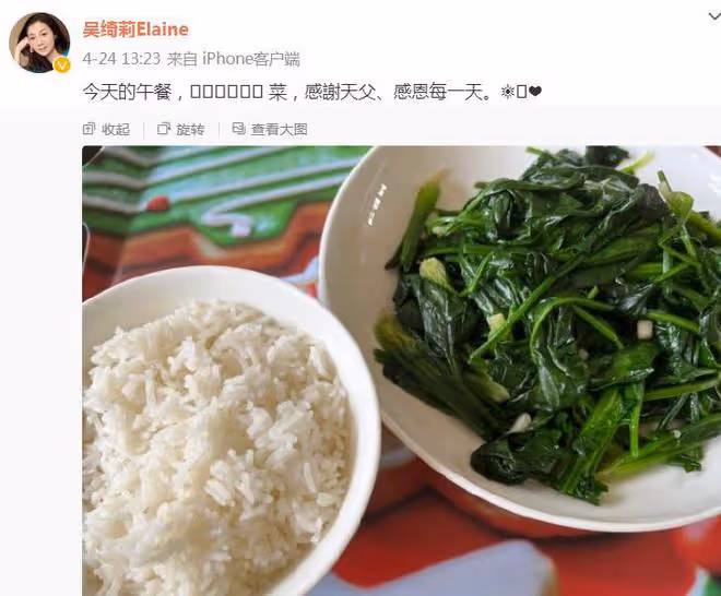 吳綺莉健康令人擔心，一日三餐全是素食，粉絲喊話小龍女快回家