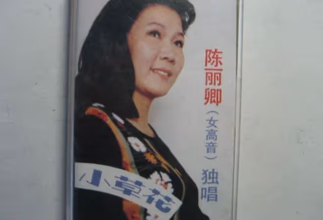 74歲歌后敗光4棟房產,晚年被兒子和前夫家暴,靠翻垃圾桶吃餿水