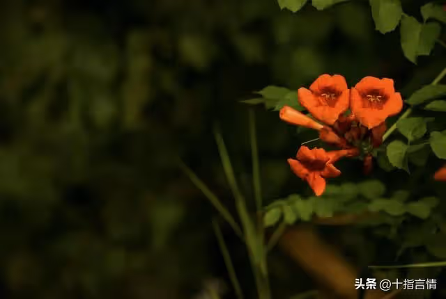 晚年嫁給老友,本以為是友情的升華,婚後才明白是一場等價交換