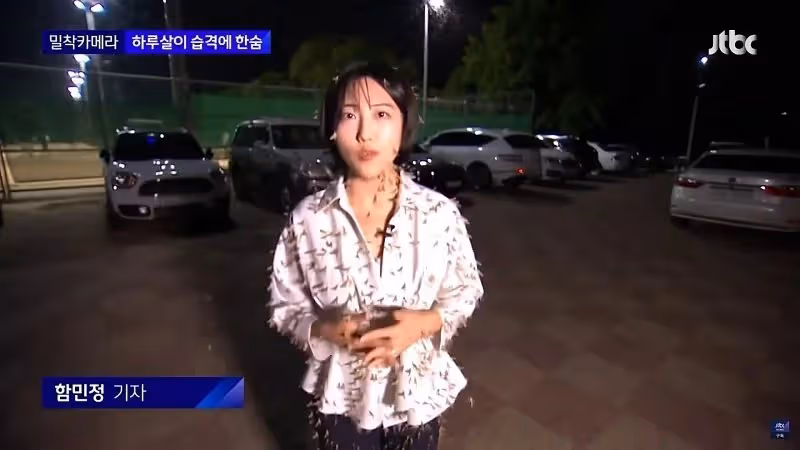 韓國美女記者，渾身爬滿昆蟲，依舊堅持播報，贏得韓網友們的稱讚