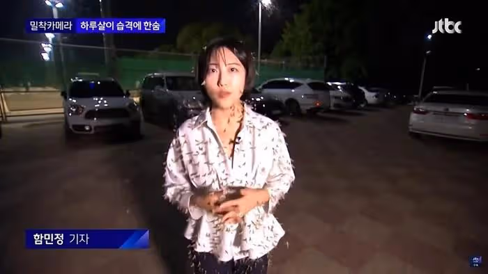 韓國美女記者,渾身爬滿昆蟲,依舊堅持播報,贏得韓網友們的稱讚