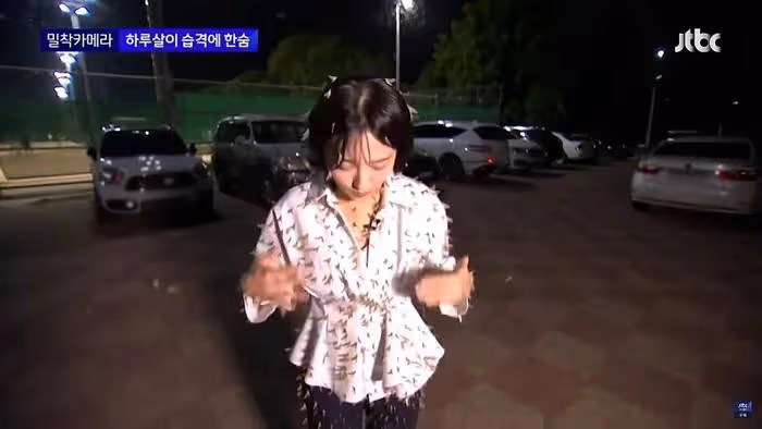 韓國美女記者,渾身爬滿昆蟲,依舊堅持播報,贏得韓網友們的稱讚