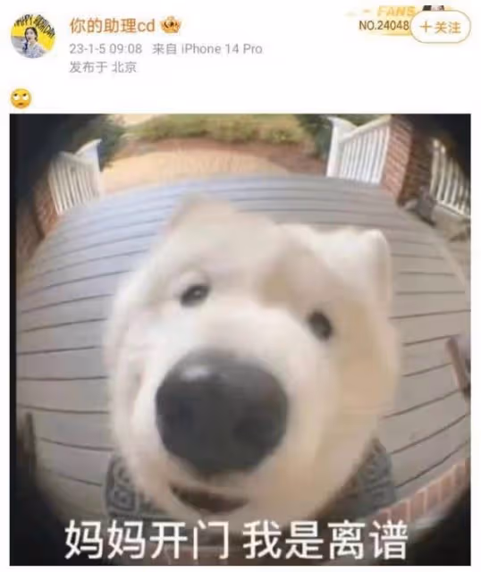 baby關喆滑雪照曝光，舉止親密互相比耶，男方被曝有家庭孩子