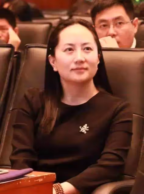孟晚舟不需要金銀珠寶來襯托,一顆「胸針」承載著高貴氣質,如此精緻