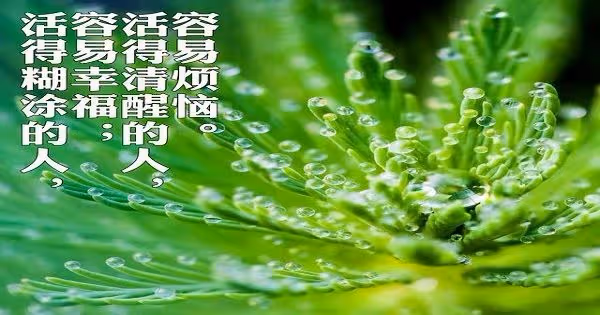 幸福,藏在糊塗裡(深度好文)