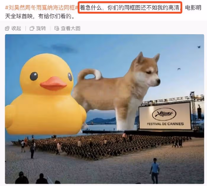 劉昊然周冬雨坎城同框,相視而笑,男方被工作人員緊急拉走避嫌