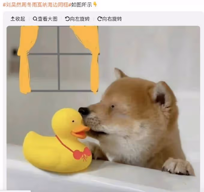 劉昊然周冬雨坎城同框,相視而笑,男方被工作人員緊急拉走避嫌