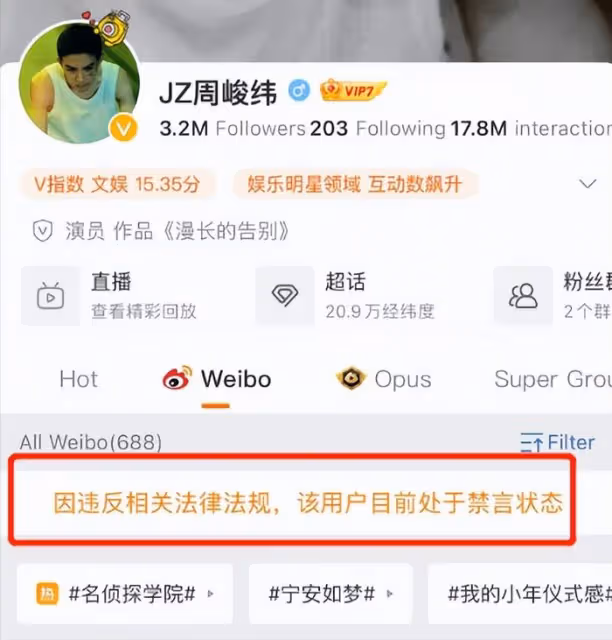 《寧安如夢》緊急撤檔,定檔兩小時後取消,未刪除爭議演員被網友罵翻