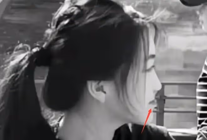 王菲、李嫣塞納河畔觀景,無懼暴曬,李嫣鏡頭前不自信表現被熱議
