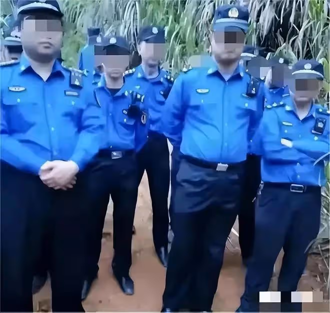 豬場強拆後續!拆除理由曝光,是一場無妄之災,豬場損失誰來承擔