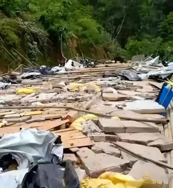 豬場強拆後續！拆除理由曝光，是一場無妄之災，豬場損失誰來承擔