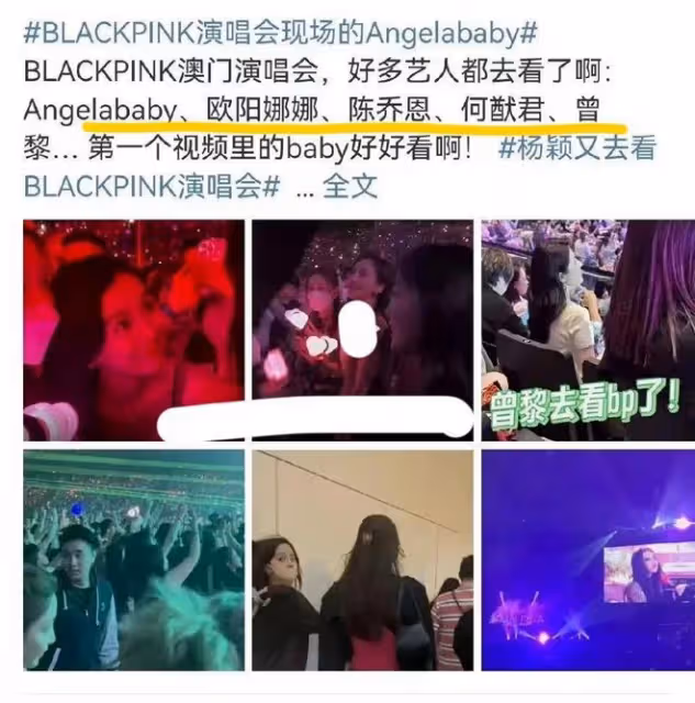 這一次，一向嬌滴滴的何賽飛怒了，明星收入的「底褲」都被扒掉了