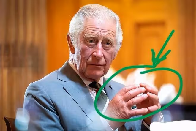 網傳查爾斯剛加冕就策劃葬禮？健康或不容樂觀，卡米拉又動歪心思