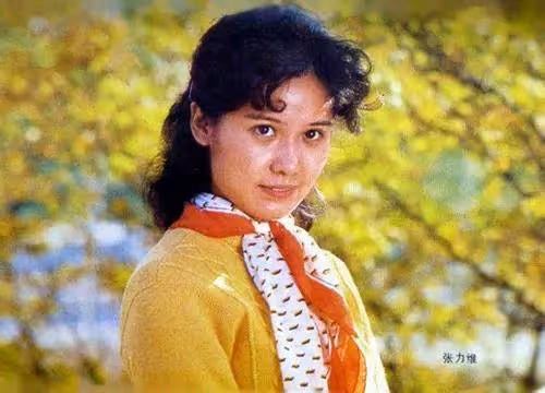 演員張力維:告別導演丈夫,離婚後獨自帶娃,如今她還好嗎?