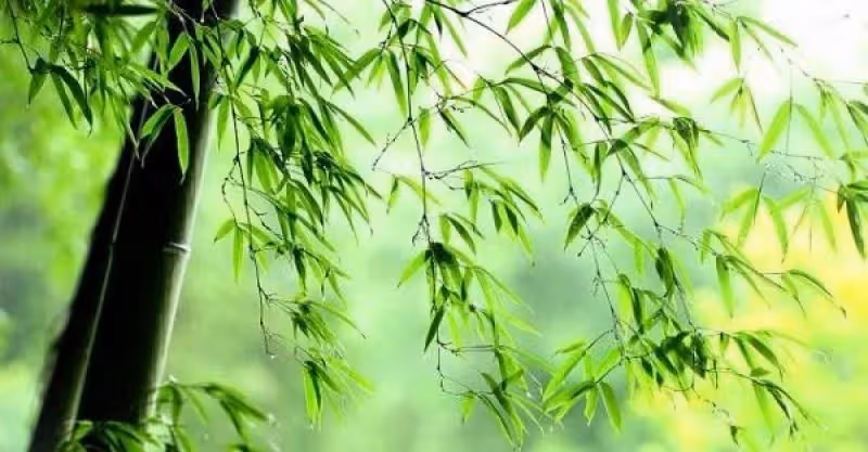 人有三樣東西是不該揮霍的，而且有三樣東西是無法隱瞞的