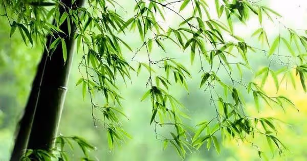 人有三樣東西是不該揮霍的,而且有三樣東西是無法隱瞞的