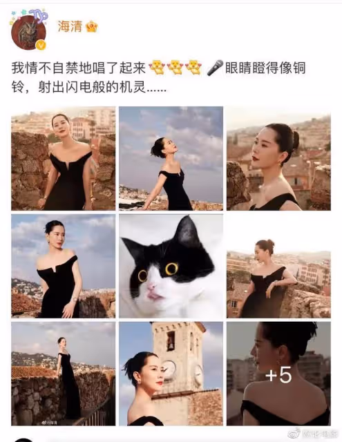海清風趣回應坎城紅毯造型,網友質疑其打針,狀態很不自然