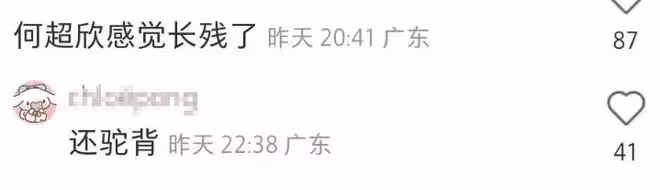 何猷君與妹妹同框看演唱會，何超欣儀態遭吐槽，兄妹倆被指太愛玩