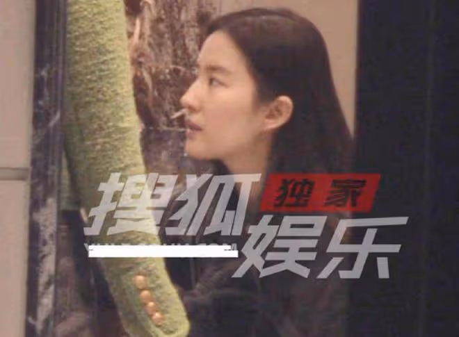 威尼斯學院橋偶遇劉亦菲，素顏露面氣質出眾，滿臉膠原蛋白狀態好