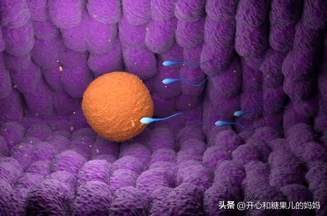 婚後多年不孕,檢查後丈夫精子成活率不足5%,婆婆:用公公的吧