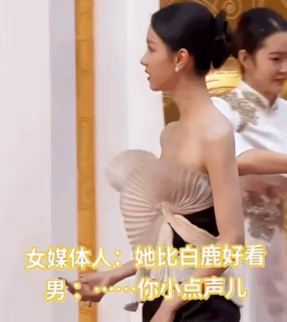 華表獎紅毯名場面，王一博西褲開線，記者稱陳都靈比白鹿好看