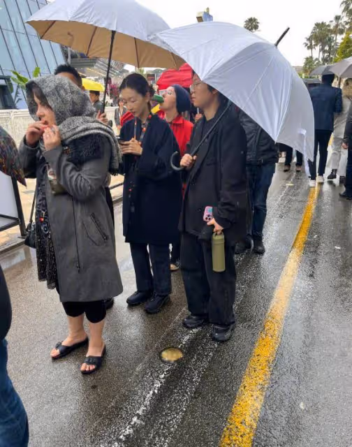 外媒鏡頭下的周冬雨紅唇黑裙很驚艷,他拍照排隊看電影普通似路人