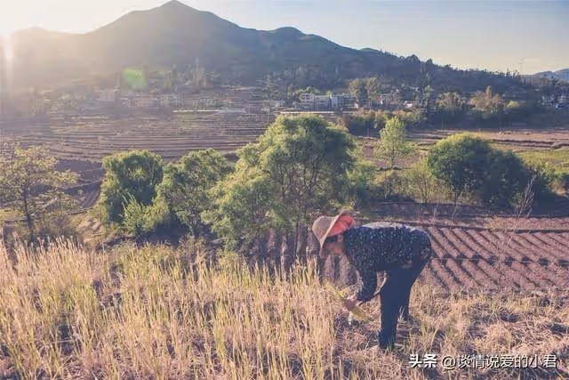 父親動手術急需錢，女兒女婿掏空積蓄相助，3年後父母10倍轉還