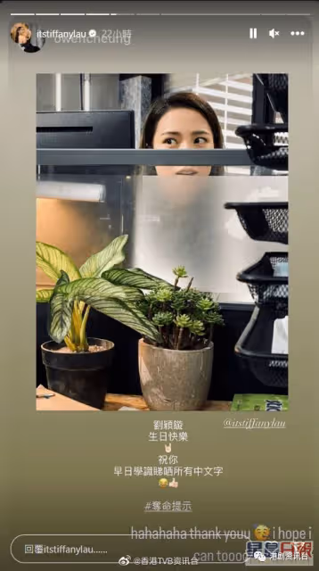 TVB力捧小花26歲生日切蛋糕慶祝！同劇男主竟送「有骨提示」投訴？