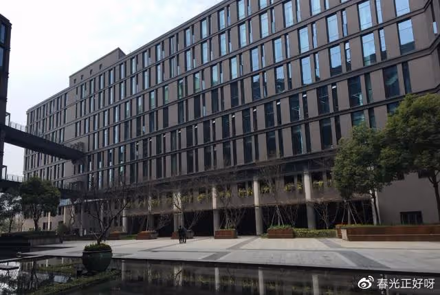 杭州8大必玩景點,全逛完只需半天,還送景區全景照?
