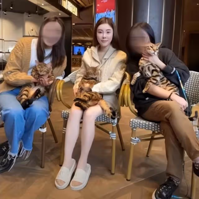 蔡天鳳案迎來重大轉機：豹太揭開兇手鄺家人的全部家底