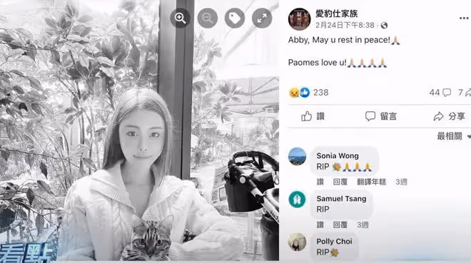 蔡天鳳案迎來重大轉機：豹太揭開兇手鄺家人的全部家底