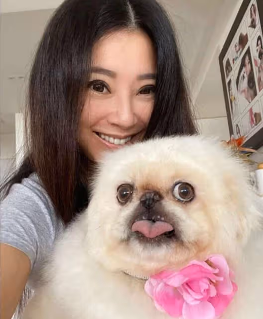 傅明憲上山禮佛吃素!63歲女星削髮為尼後罕露面,息影多年變化大