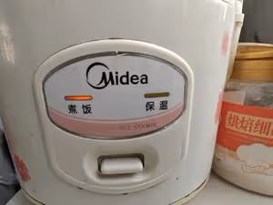 我宣布這是最好吃的椰香紫米餡鎖死這個配方❗