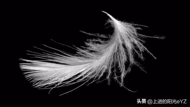 離婚不離家32年,母親生病被女兒接走,父親想一起去,女兒不答應