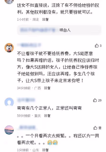 這一次,限制汪小菲探視孩子的大S,即使闢謠也不再被網友容忍了