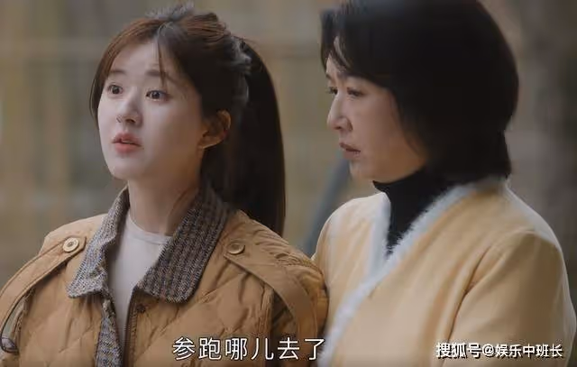 《後浪》有參不賣非要掏家底,任新正的腦迴路,是宋靈蘭的孽