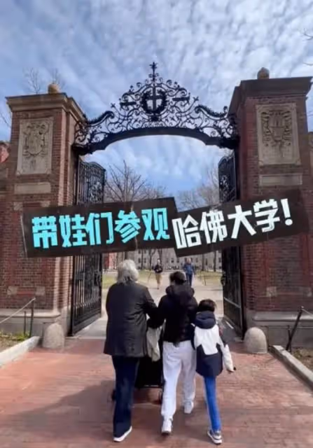杜星霖疑再度懷孕,小腹凸起明顯被曝已經4個月,72歲張紀中攙扶