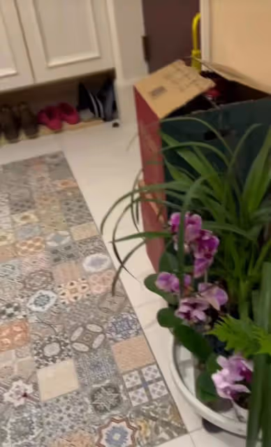李立群妻子被鄰居投訴,占用公共空間,鞋櫃和家裡的花盆擺到樓道
