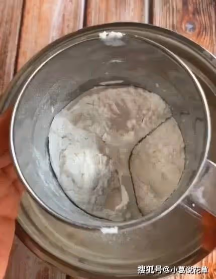 新手也能做出零失敗雪媚娘,個個飽滿白胖,喜歡甜品的不能錯過~
