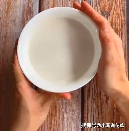 新手也能做出零失敗雪媚娘,個個飽滿白胖,喜歡甜品的不能錯過~